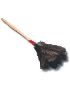 AVESTRUZ DUSTER 4-A MNG. TORNANDO 2