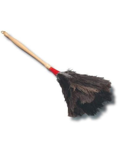 AVESTRUZ DUSTER 4-A MNG. TORNANDO