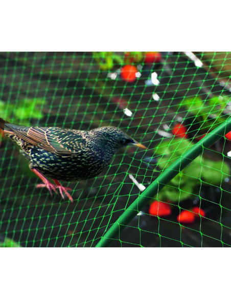 MALLA ANTIPAJAROS 8 x 10 BIRDNET