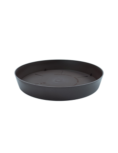 PLATO TES 20 cm 26 BRONCE