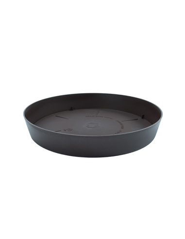 PLATO TES 20 cm 26 BRONCE